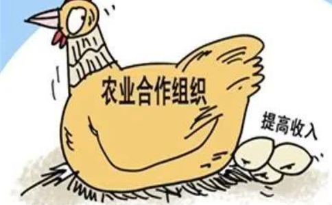 河南(鄭州)農(nóng)民專業(yè)合作社注銷工商執(zhí)照流程手續(xù)