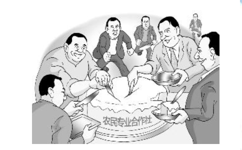 關(guān)于加快發(fā)展農(nóng)業(yè)社會化服務(wù)的指導意見